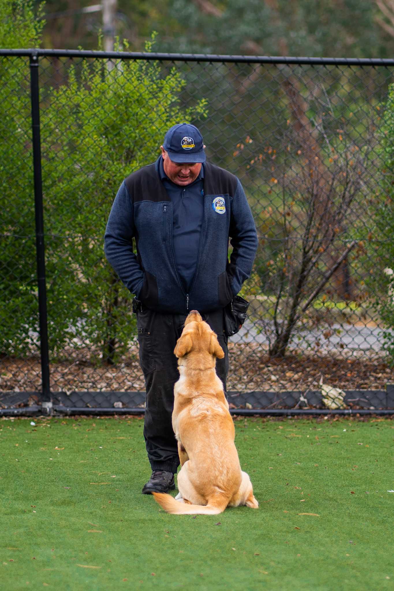 Canine Coaching